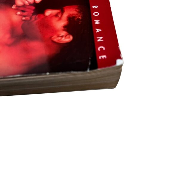 Tame A Wild Stallion By Deborah Fletcher Mello 2008 Paperback Kimani Romance Nov - Picture 9 of 12